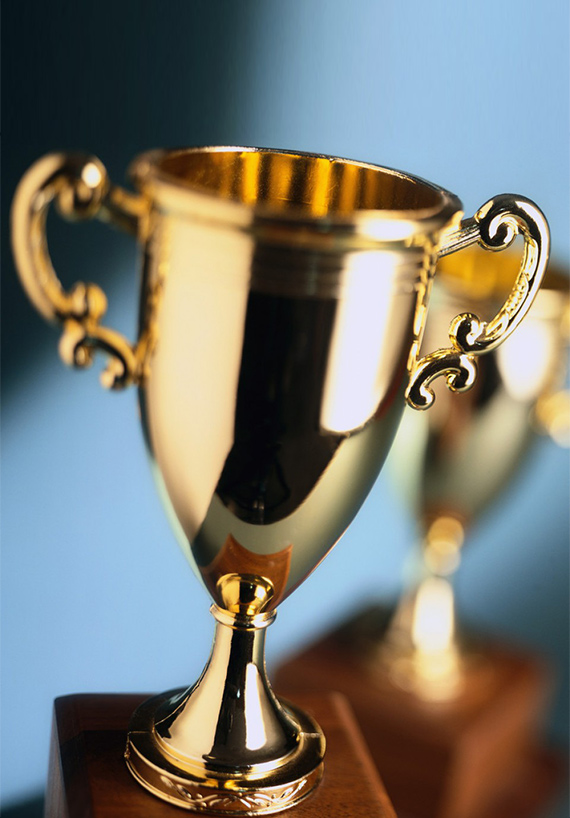 Yancheng Longwan Machinery Co., Ltd.(DE)